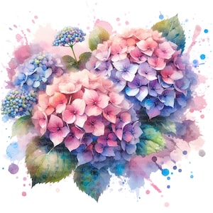 5 Hortensien, Digitaler Download, ohne Hintergrund, Transparente PNG, sofortiger Download, Druckvorlage