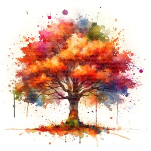 4 Arbre à feuilles caduques Automne coloré, Téléchargement numérique, Pas de fond, PNG transparent, Téléchargement instantané, Modèle d’impression