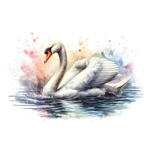 4 Schwan Watercolor, Digitaler Download, ohne Hintergrund, Transparente PNG, sofortiger Download, Druckvorlage