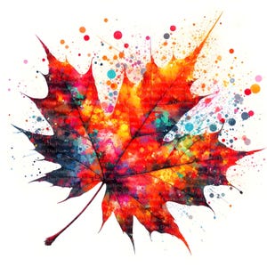 5 Ahornblatt Aquarell Splash Clipart, Digitaler Download, JPGs Dateien, sofortiger Download, Druckvorlage