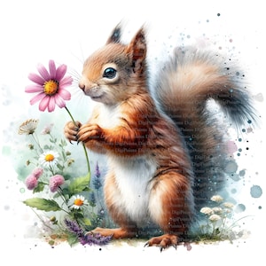 2 Eichhörnchen mit Blümchen Clipart, Digitaler Download, JPGs Dateien, sofortiger Download, Druckvorlage