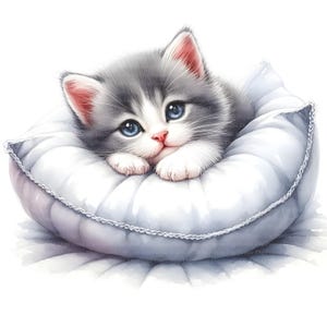 Cute kitten on pillow clipart, digital download, JPGs files, instant download, printable