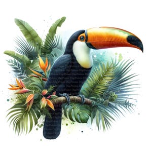 5 Tropical Tukan, Digitaler Download, ohne Hintergrund, Transparente PNG, sofortiger Download, Druckvorlage