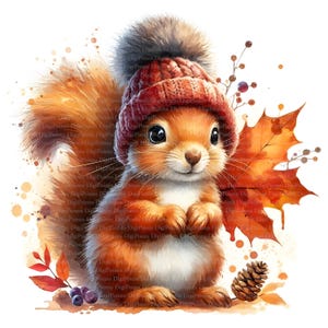 5 écureuils avec Bobble Hat, Téléchargement numérique, Pas de fond, PNG transparent, Téléchargement instantané, Modèle d’impression