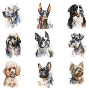 10 races de chiens mélangées, ensemble de 2 cliparts, téléchargement numérique, fichiers JPG, téléchargement instantané, imprimable