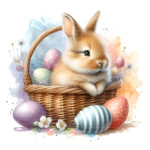 7 Süßer Hase im Osterkörbchen Clipart, Digitaler Download, JPGs Dateien, sofortiger Download, Druckvorlage
