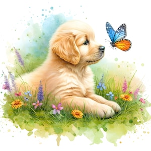 5  Golden Retriever Welpe Clipart, Digitaler Download, JPGs Dateien, sofortiger Download, Druckvorlage