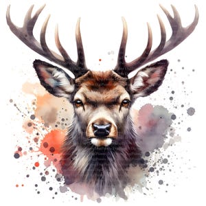 4 Hierschkopf Watercolor, Digitaler Download, ohne Hintergrund, Transparente PNG, sofortiger Download, Druckvorlage