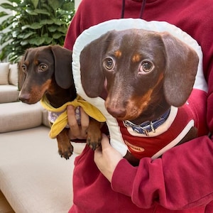 Custom 3D Pet Pillow from Photo | Personalized Dog/Cat Shaped Throw Pillow | Double Printed Pet Pillow | Pet Lover Gift | Pet Memorial Gift