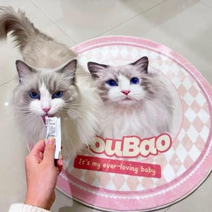 Alfombra personalizada con retrato de mascota: alfombra personalizada con dibujos animados para mascotas, animales, perros, gatos, alfombra con mechones personalizada hecha a mano, retrato de mascota, lavable a máquina, regalo