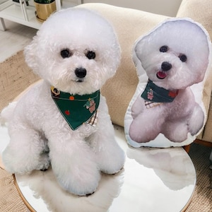 Personalized Pet Shaped Pillow, 3D Photo Pillow, Pet Lover Gift, Dog Pillow, Pet Portrait Pillow, Pet Memorial, Pet Gift, Dog Gift, Cat Gift