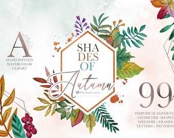 Aquarel herfst clipart, herfstbladeren, herfstbladeren, herfst, handgeschilderde clipart, herfst, png, aquarel bloemen, clipart, commercieel gebruik