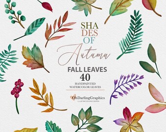 Aquarel herfst clipart, herfstbladeren, herfstbladeren, herfst, handgeschilderde clipart, herfst, png, briefpapier, plakboek, commercieel gebruik