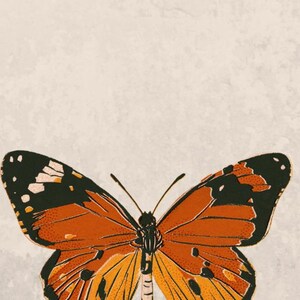 May include: A stylized orange and black butterfly with white accents on a beige background. The text "Colores del Mexico" is below the butterfly.