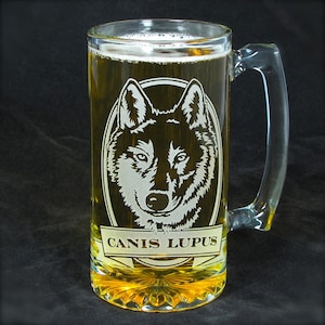 May include: A clear glass beer stein with a wolf head etched into the front. The wolf is in a circle with the words "Canis Lupus" below it. The stein is filled with a golden yellow beer.