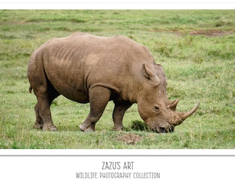 African Rhino grazing | Fine Art Digital Photography, Wall Art, African Wildlife Safari, Home Decor, Printable