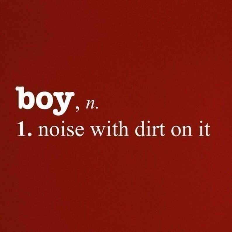 May include: A red background with white text that reads "boy, n. 1. noise with dirt on it"
