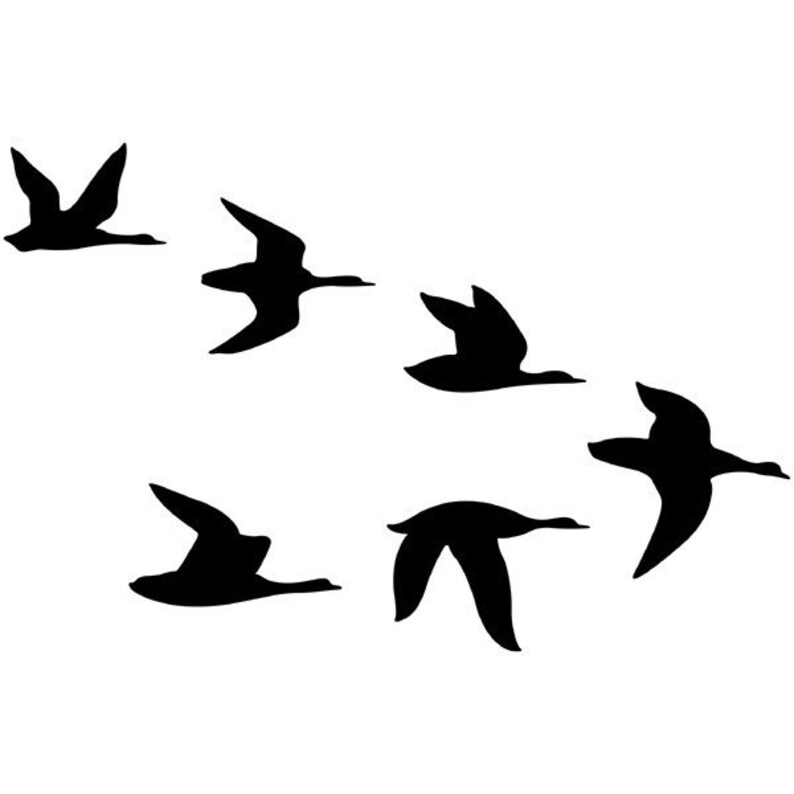 Bird In Flight Sticker Birds in Flight, Vinyl Decal - Etsy