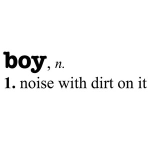 Boy Noise with Dirt definition, vinyl wall decal, boys bedroom decor, nursery wall saying, playroom decal image 2