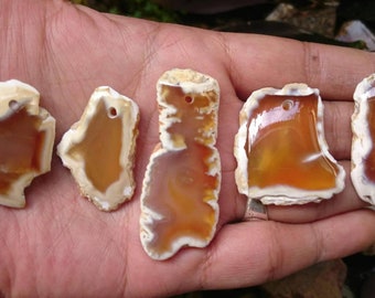 Hand-Cabbed Sumatran Agate Cabochon: Fossil Coral, Drilled Pendant Stone