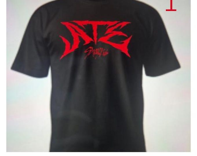 K-POP super band the Stray Kids