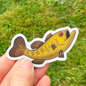 Fish 3 Inch Vinyl Sticker, fishing sticker, water bottle sticker, laptop sticker
