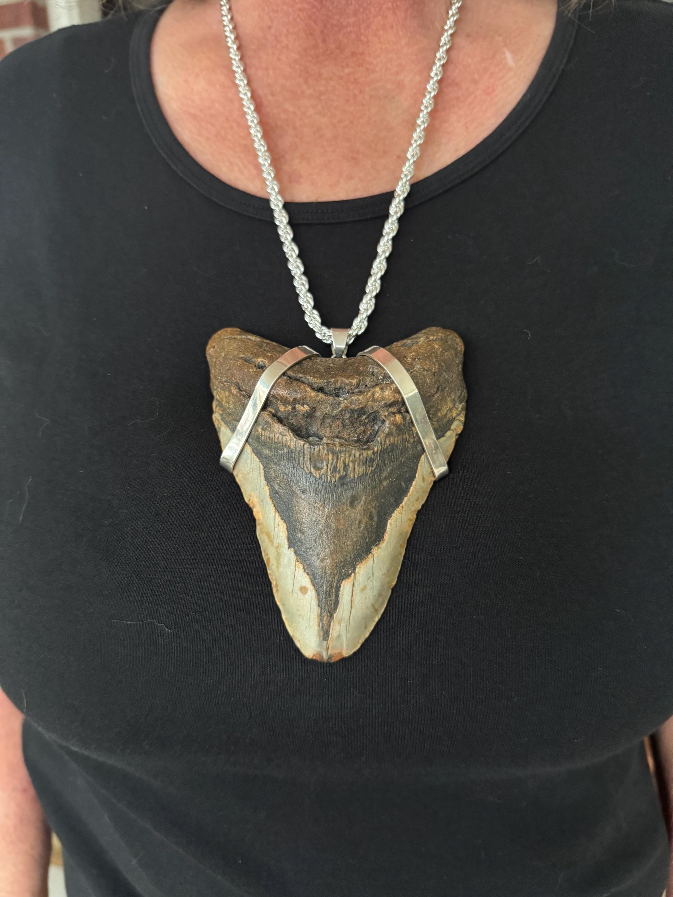 Large Megalodon Tooth pendant.