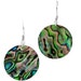 1" Round Genuine Paua Abalone Shell 925 Sterling Silver Earrings