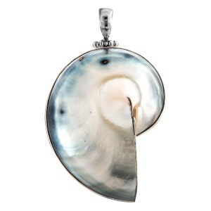 925 Sterling Silver Paisley Nautilus Shell In Sterling Pendant, 2 1/4&quot;
