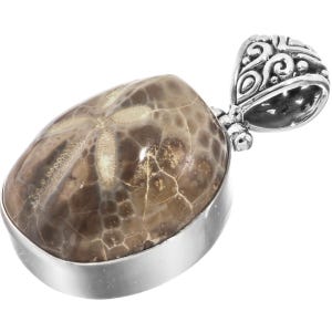 1 3/8&quot; Genuine Fossil Sand Dollar 925 Sterling Silver Pendant