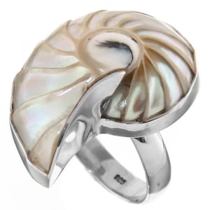 May include: A silver ring with a white nautilus shell design. The shell is iridescent and has a spiral pattern.