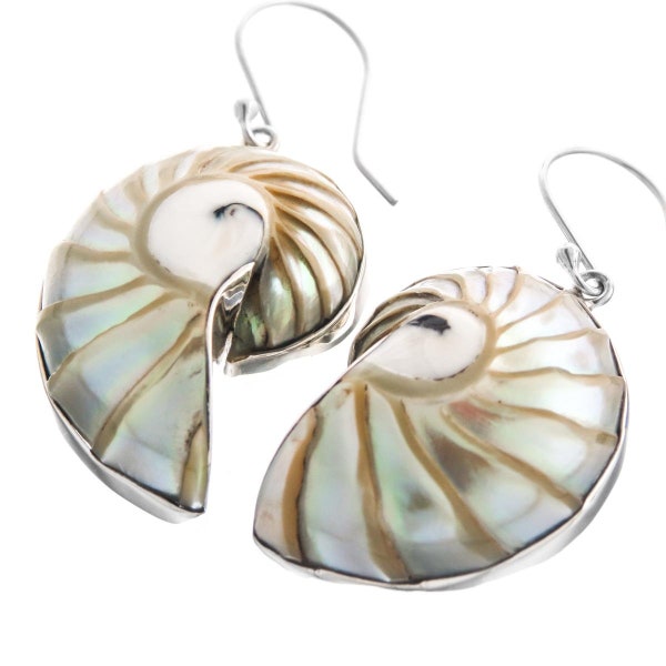 1 1/4" Paisley Nautilus Shell 925 Sterling Silver Earrings