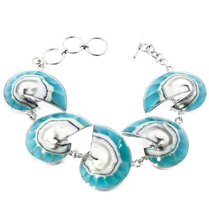 7-8&quot; Turquoise Blue Nautilus Shell 925 Sterling Silver Bracelet