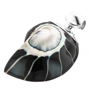 2 3/8" Cool Black Open Nautilus Shell Sterling Silver Pendant