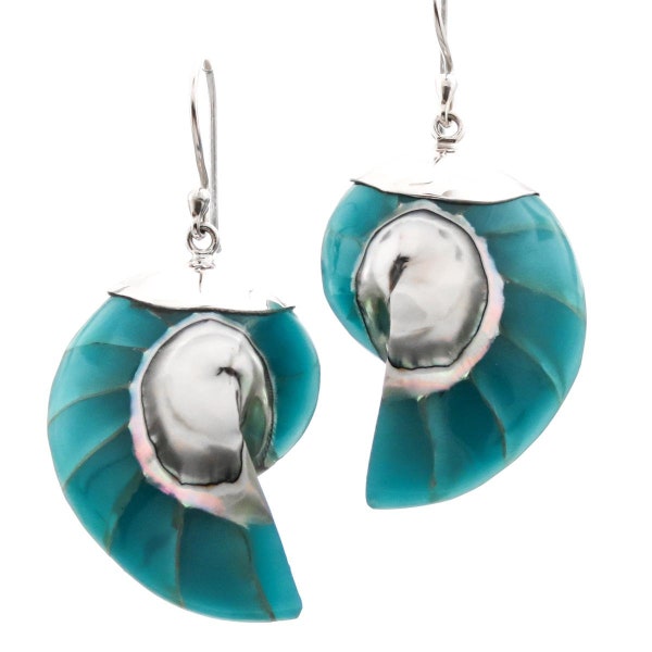 1 1/8" Turquoise Blue Open Chamber Nautilus Shell Sterling Silver Earrings