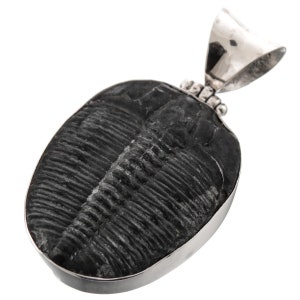 Genuine Utah Full Trilobite Fossil 925 Sterling Silver Pendant, 1 5/8&quot;