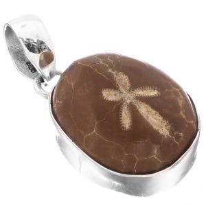 1 1/4&quot; Madagascar Fossil Sand Dollar 925 Sterling Silver Pendant