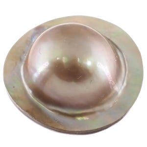 Op de afbeelding: Een mabe-parel met een glad, koepelvormig midden en een platte, ronde basis. Het oppervlak vertoont een iriserende glans met zachte tinten zilver, brons en subtiele groene reflecties, wat de natuurlijke parelmoertextuur van de schelp benadrukt.