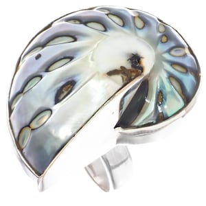 Könnte beinhalten: Ein silberner Ring mit einem Nautilus-Muschel-Design. Die Muschel hat schillernde Farben in Blau, Grün und Weiß mit dunkelbraunen Akzenten. Das Band des Rings ist aus einfachem, poliertem Silber.
