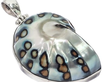 925 sterlingzilveren paisleybatik Poolse nautilusschelp in sterlingzilver, 1 7/8"