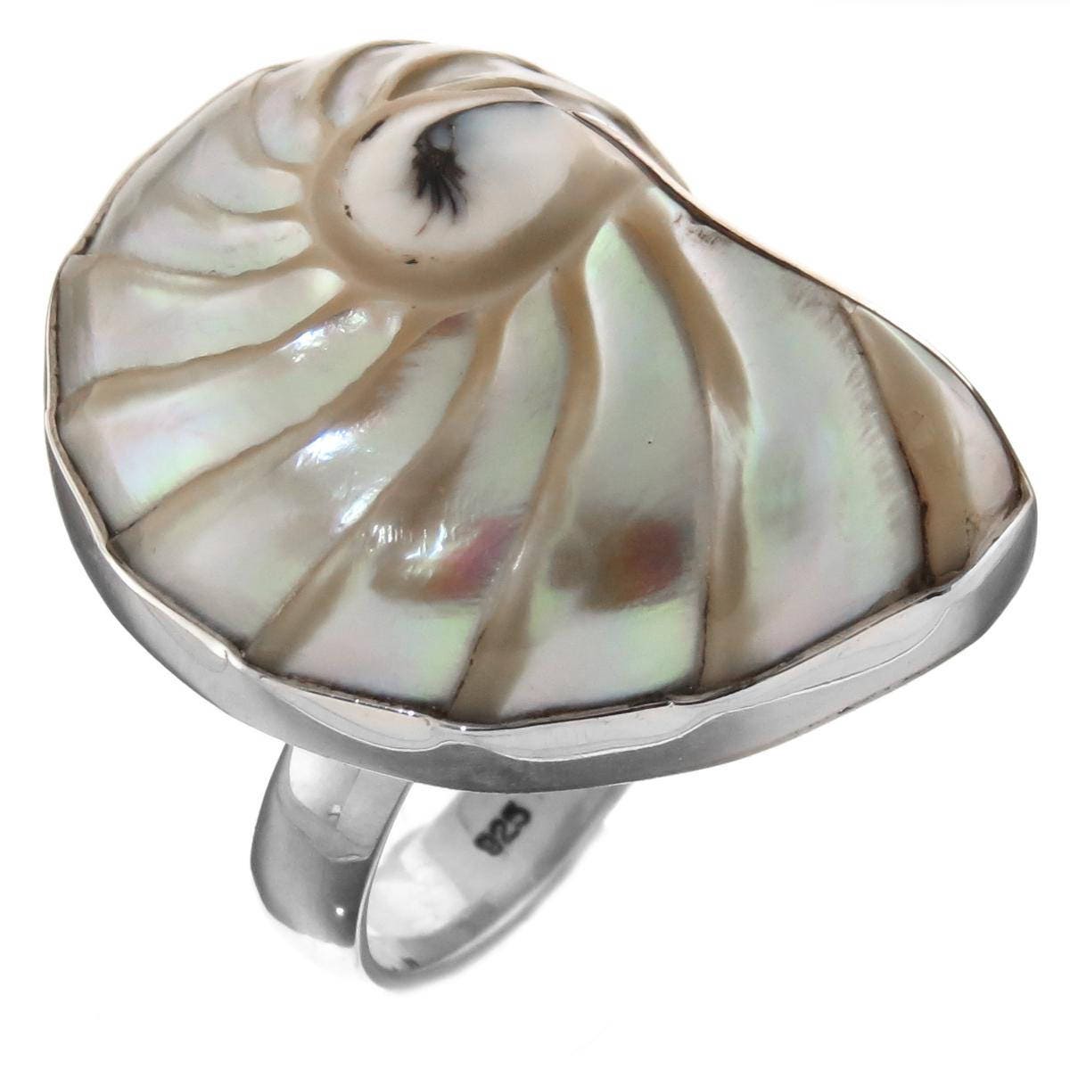 Shell 925 Ring Genuine Ridged Nautilus Shell 925 Sterling Silver Ring, 1 3/16