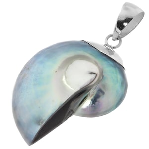 1 1/4&quot; Blue Iridescent Nautilus Shell In 925 Sterling Silver Pendant