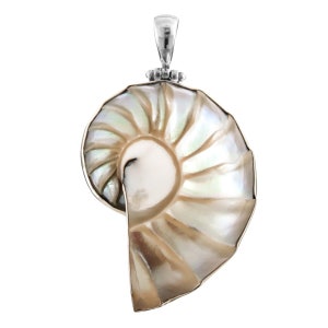 2 3/8&quot; Fifi Rose Paisley Nautilus Shell 925 Sterling Silver Pendant