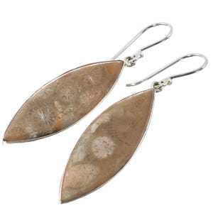 925 Sterling Silber Entzückende Fossile Koralle Ohrringe, 3 cm