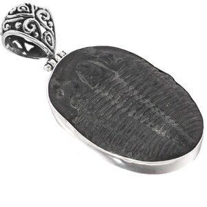 Intact Trilobite Fossil 925 Sterling Silver Pendant, 1 3/4&quot;