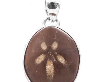 1 1/4" Madagascar Fossil Sand Dollar 925 Sterling Silver Pendant