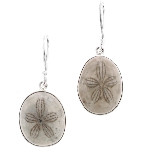 925 Sterling Silver Genuine Sand Dollar Fossil Sterling Earrings