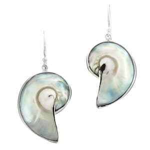 1 1/4&quot; Iridescent Blue Nautilus Shell Sterling Silver Earrings