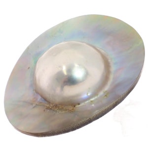 Jeweler&#39;s Choice Exceptional Luster Blister Mabe Pearl Shell Cabochon, 1 1/2&quot;