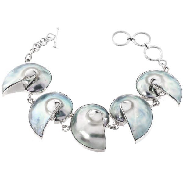 Bracelet en argent sterling 925 avec 5 maillons véritables coquillages Nautilus n° 7-8"